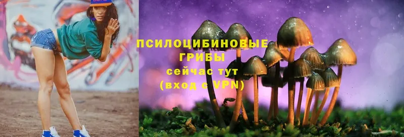 наркошоп  Заринск  Псилоцибиновые грибы Cubensis 