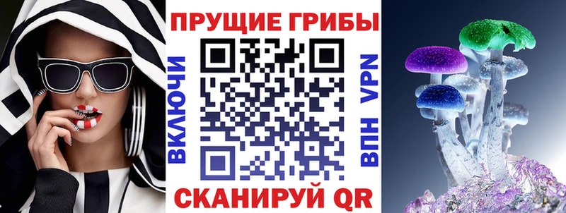 цена   Заринск  Псилоцибиновые грибы MAGIC MUSHROOMS 